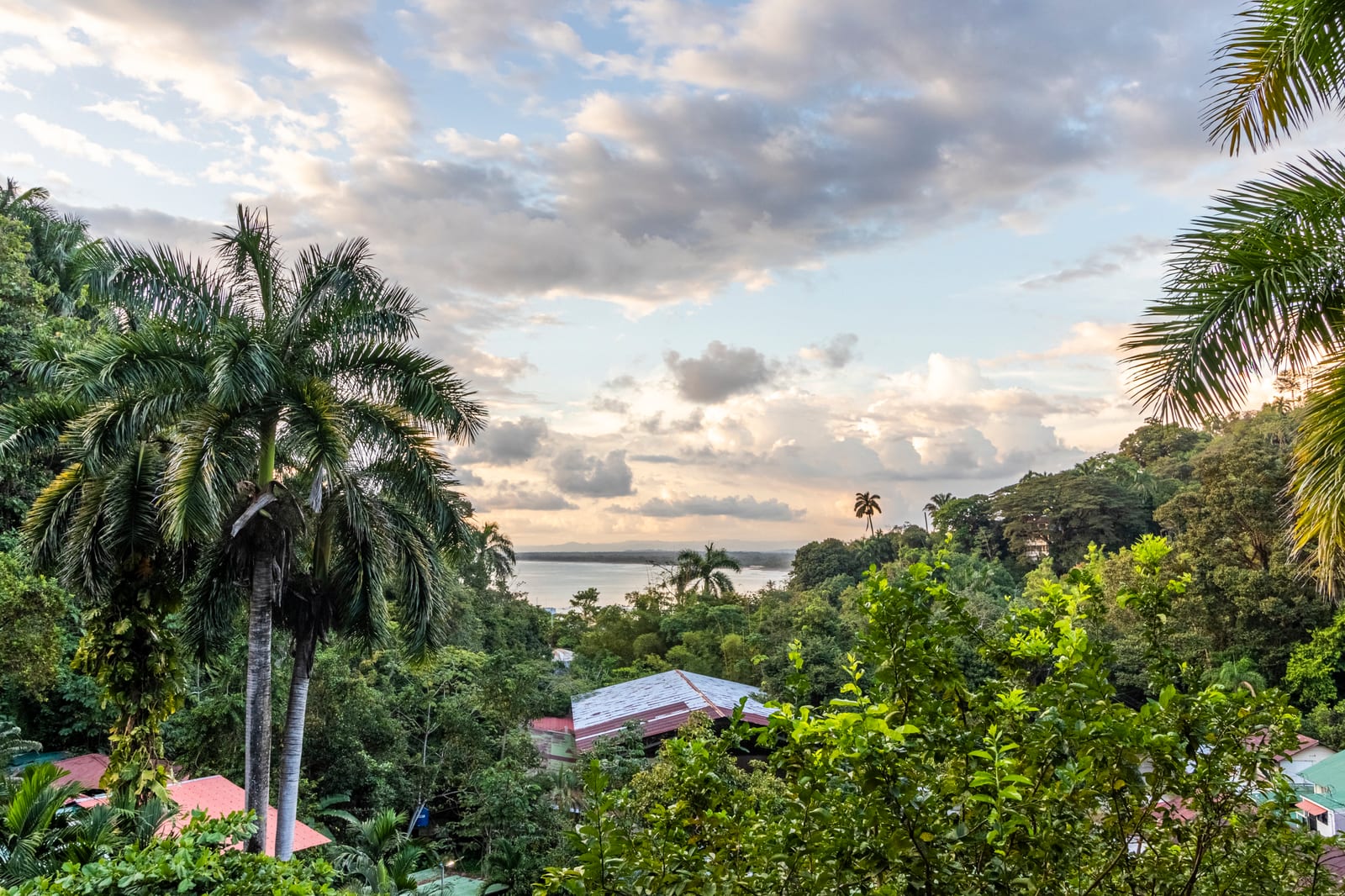 The bay seen through palms and jungle from the hillside, under a wide sky of broken cloud