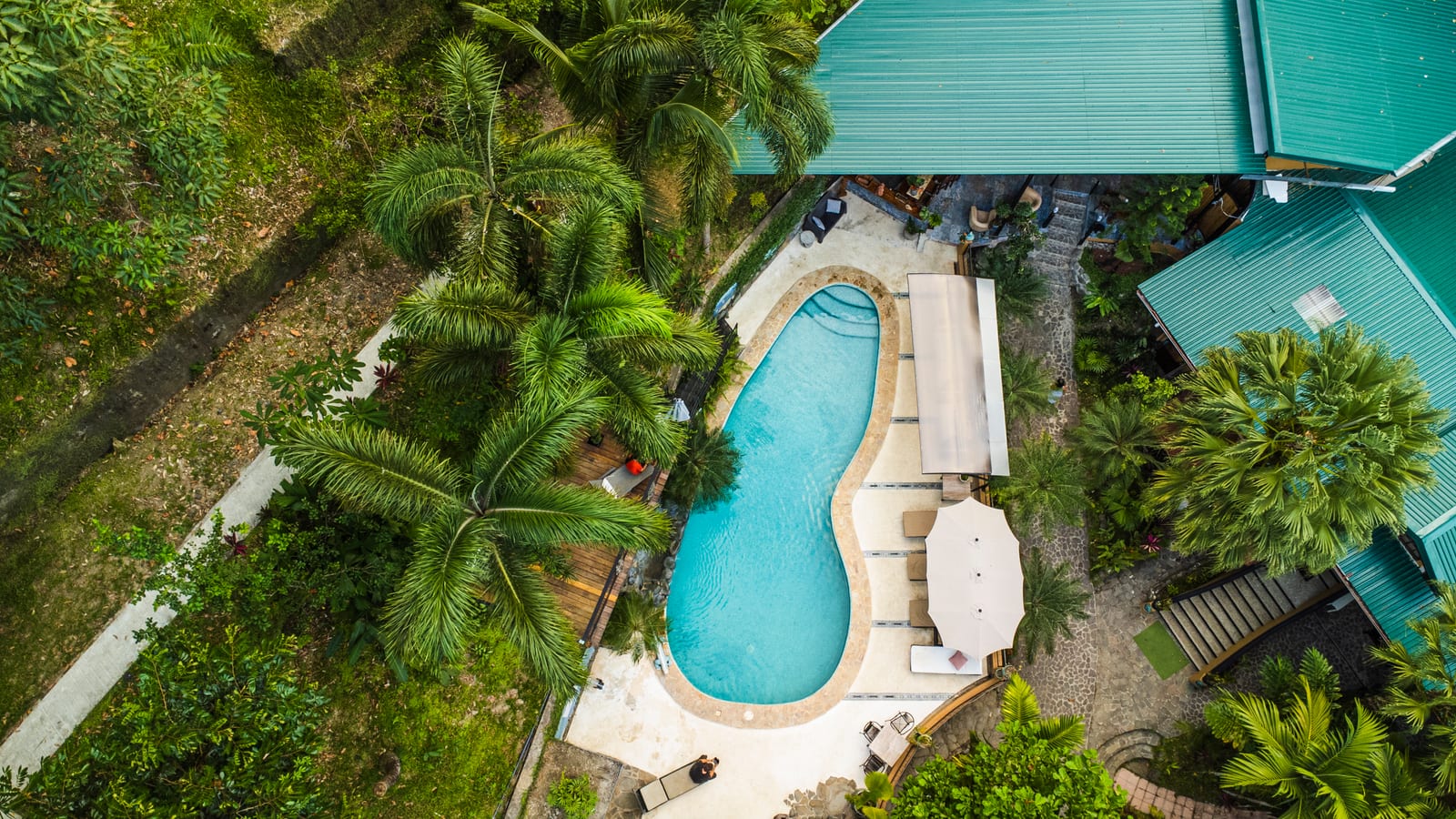 The pool seen from almost directly overhead, curving between palms with loungers along one side and a green metal roof at the edge of the frame