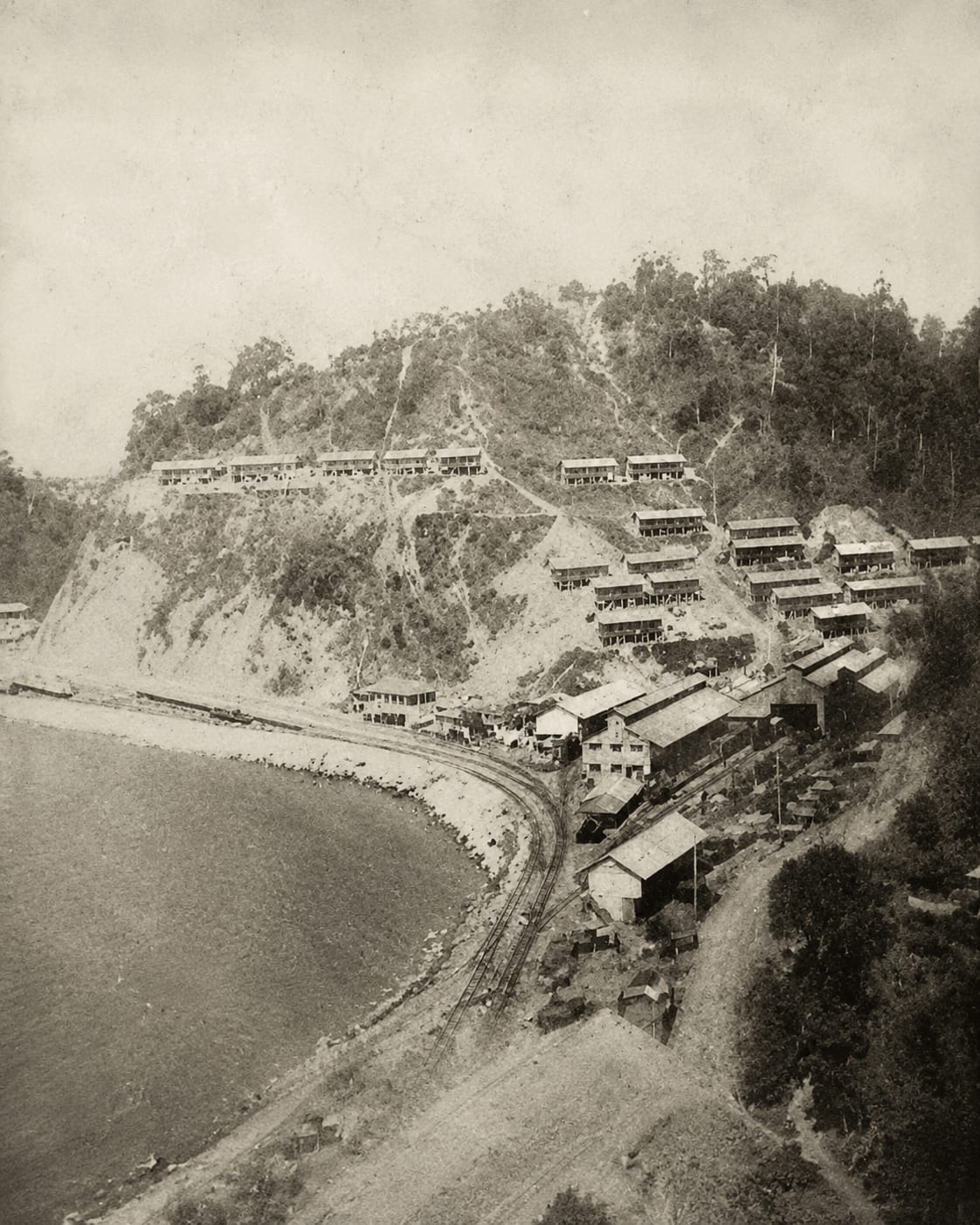 A sepia photograph of a steep cleared hillside above a curving bay, with rows of buildings stepping down the slope toward the shore