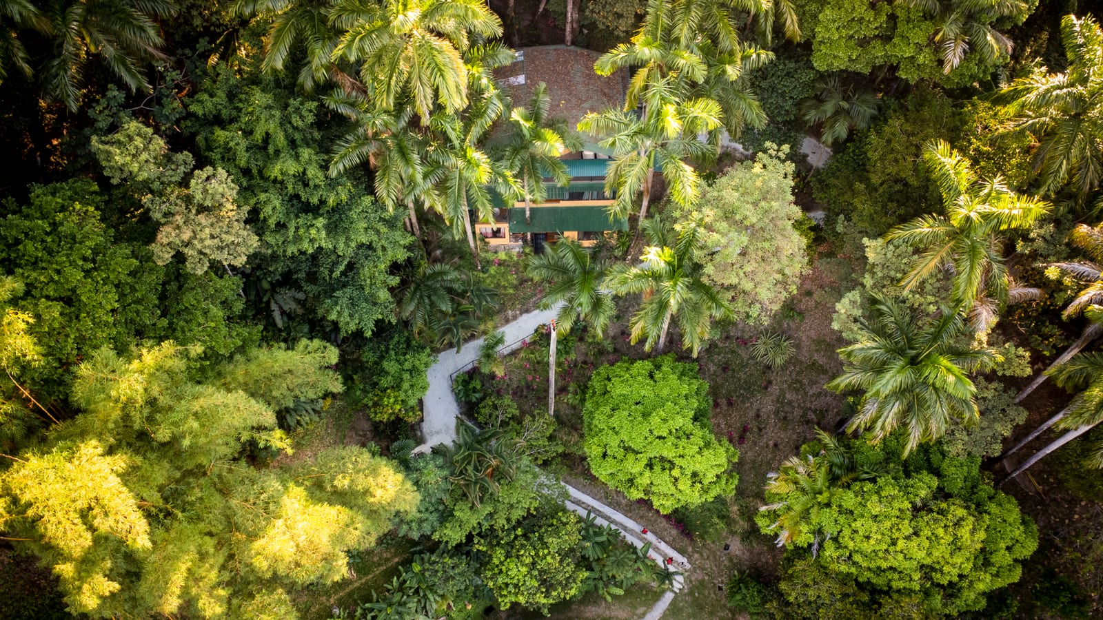 The property from directly above, its pool and roofs half hidden under palms, with a footpath switchbacking down the hillside