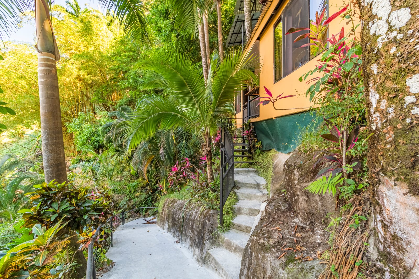 Un sendero de concreto con gradas que sube entre heliconias tupidas, helechos y palmeras, junto a una pared de roca cubierta de musgo y un edificio de habitaciones