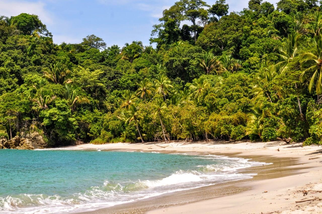 Una playa curva de arena clara con agua turquesa reventando a lo largo, respaldada por selva densa y palmeras que bajan hasta la orilla